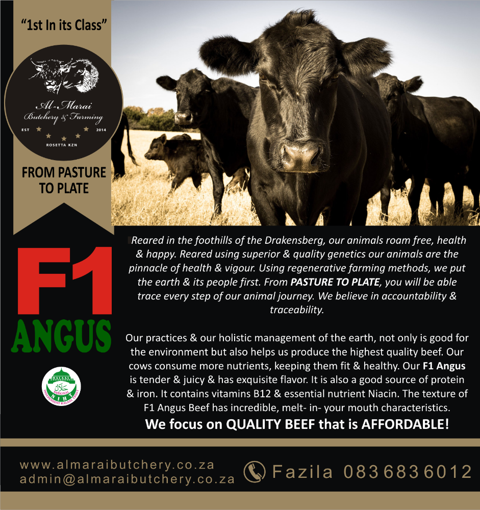 F1 Angus